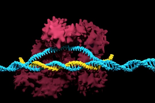 Đột phá trong chữa trị ung thư bằng công nghệ chỉnh sửa gene